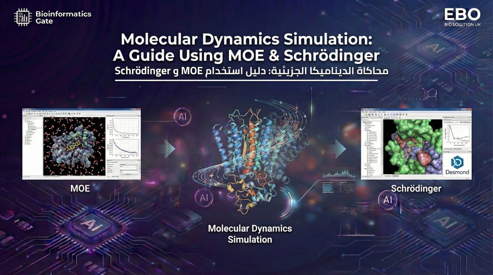 12 – Molecular Dynamics Simulation: A Guide Using MOE & Schrödinger