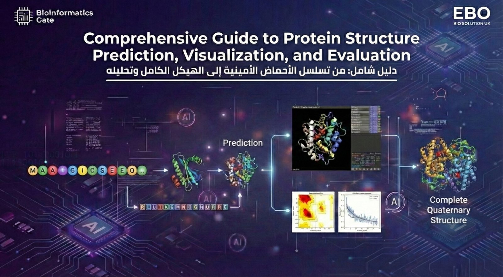 3 – Comprehensive Guide to Protein Structure Prediction, Visualization, and Evaluation
