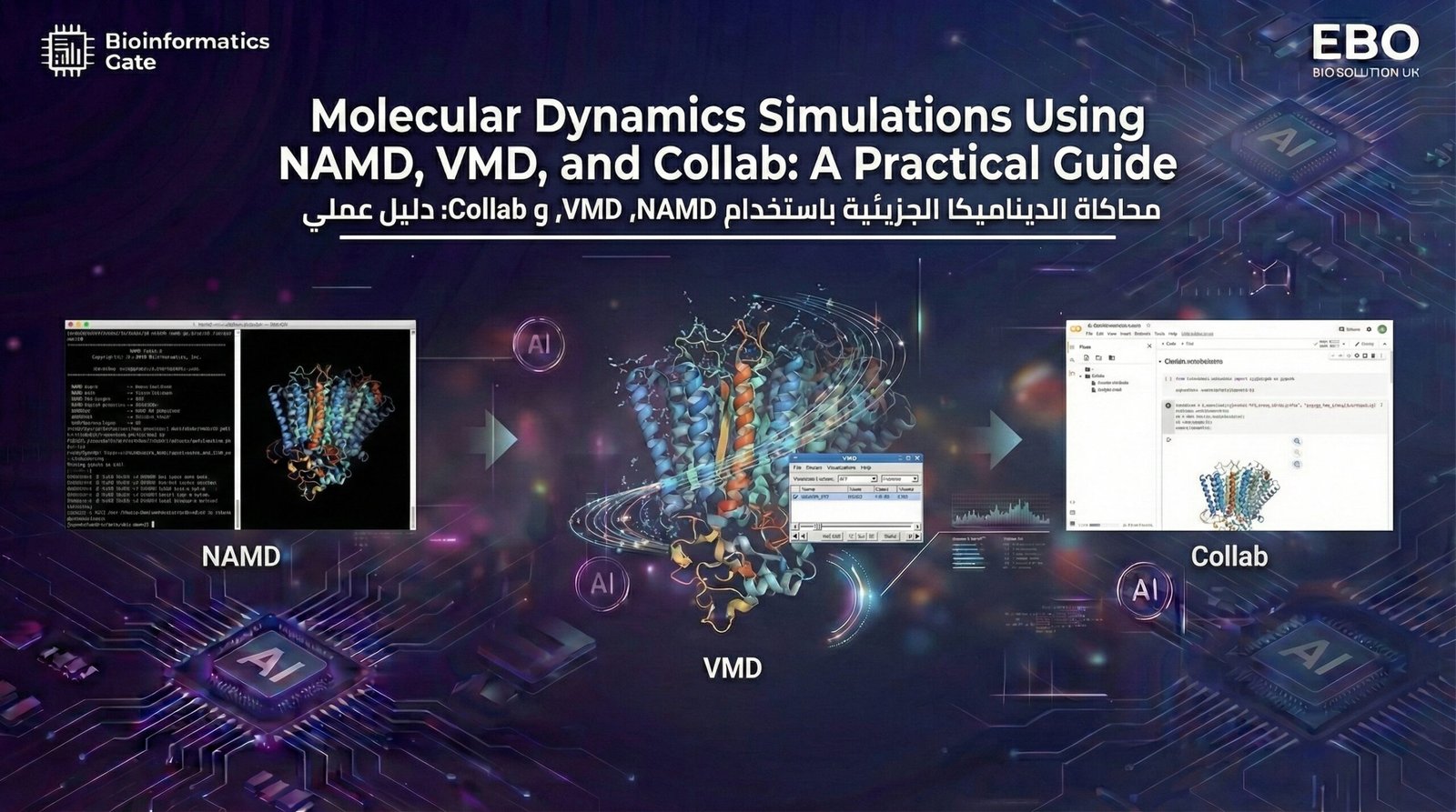 13 – Molecular Dynamics Simulations Using NAMD, VMD ,and Collab : A Practical Guide
