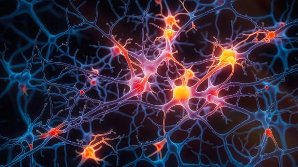 Bioinformatics & Systems Biology Lab