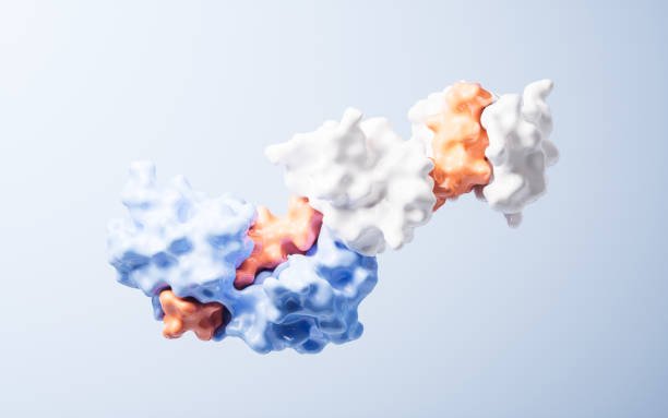 Computational Drug Design Lab