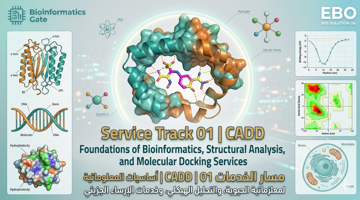 Service Track 01 | CADD | Foundations of Bioinformatics, Structural Analysis, and Molecular Docking Services
