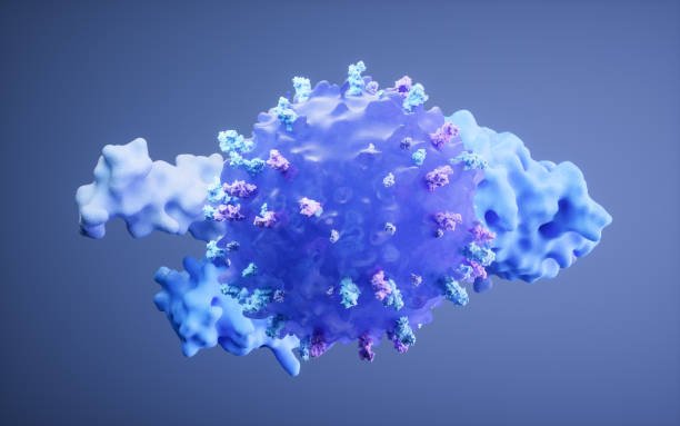 Infectious Disease & Vaccine Lab